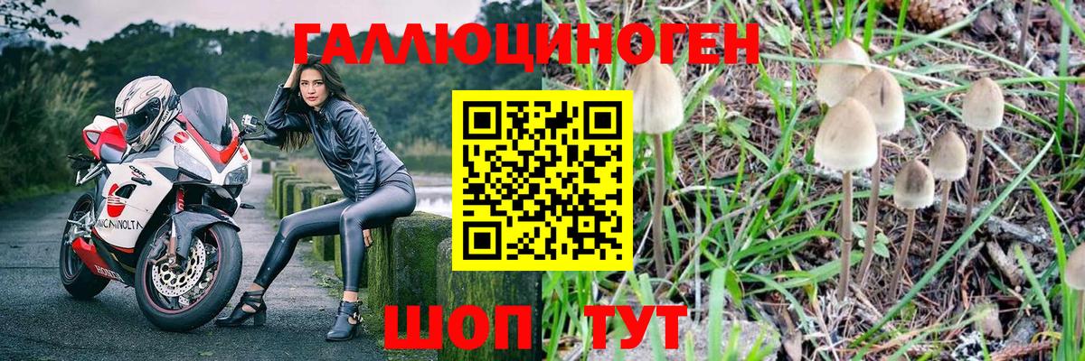 Галлюциногенные грибы прущие грибы  Вход с VPN  Барабинск  Галлюциногенные грибы Cubensis 